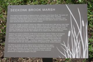 Seekonk Brook Marsh Trail
